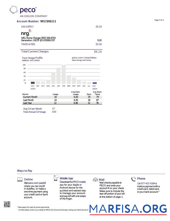 Printable USA Pennsylvania PECO electric and gas utility bill, 3 pages 2 download for verification